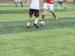 米兰,赛季出局归,咎于迈尼昂,爱游戏app,爱游戏官网,爱游戏体育官网,爱游戏体育app