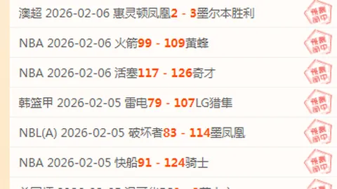 国羽瑞士公开赛斩获四金两银，翁泓阳陈雨菲成功夺冠